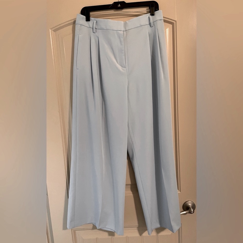 Ann Taylor Pleated Wide Leg Pants-NWOT